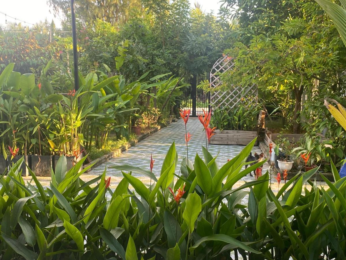 Laoxao Homestay Hội An Extérieur photo