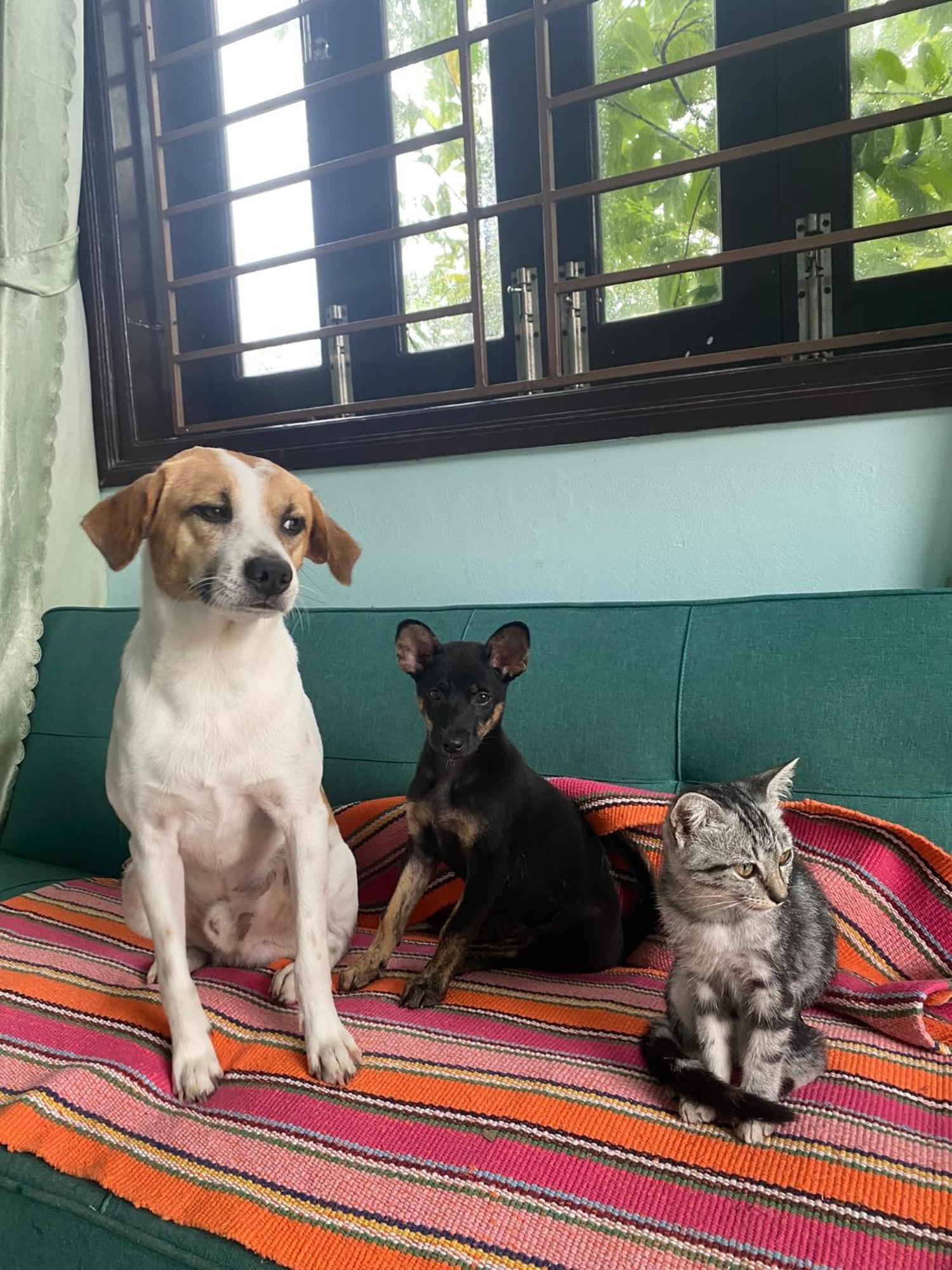 Laoxao Homestay Hội An Extérieur photo